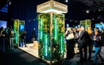 Spaljéer med murgröna och Astera Titan Tubes i Schibsteds mässmonter, NextM Annexet